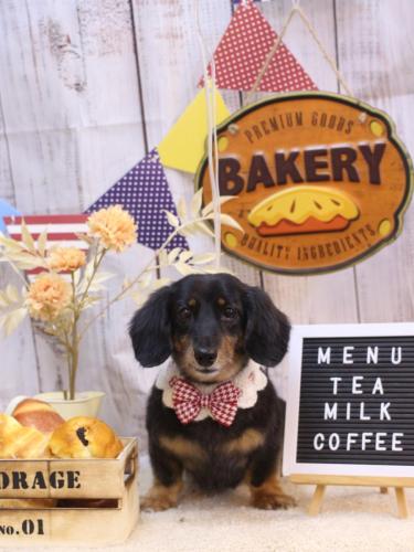 202470917モカちゃん